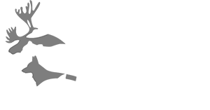 logo-forum-animal